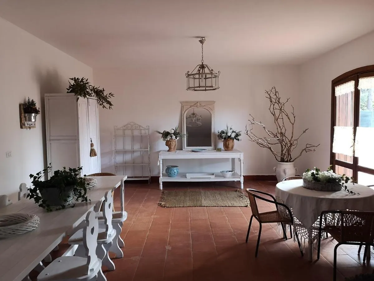 Bed & Breakfast Bed and Breakfast Casa Degli Ulivi Etna Ragalna Itálie