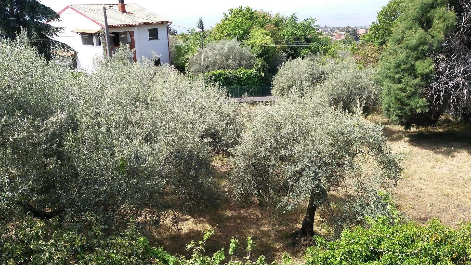 Bed and Breakfast Casa Degli Ulivi Etna à Ragalna