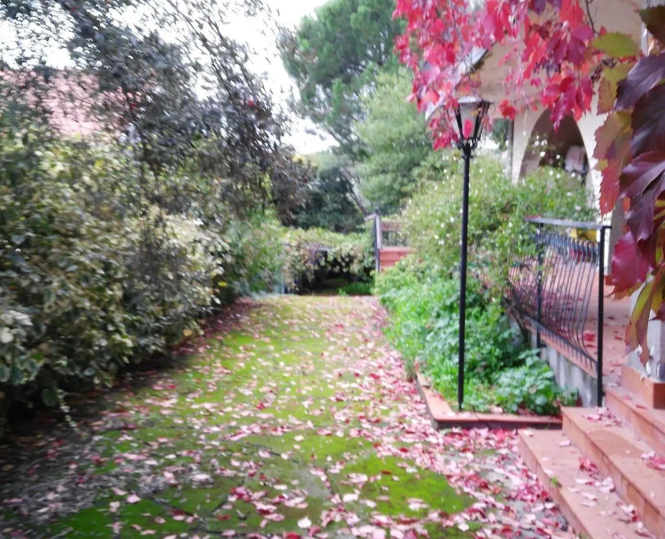 Bed & Breakfast Bed and Breakfast Casa Degli Ulivi Etna Ragalna